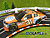Carrera Digital 143 Chevrolett Impala Nr.31, Jeff Burton 41306